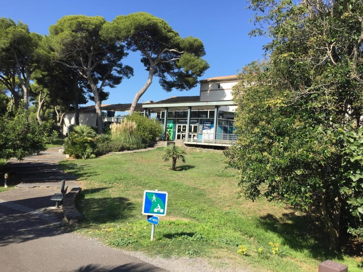 Studio Cosy Au Centre Port Du Cap D'阿格德 外观 照片